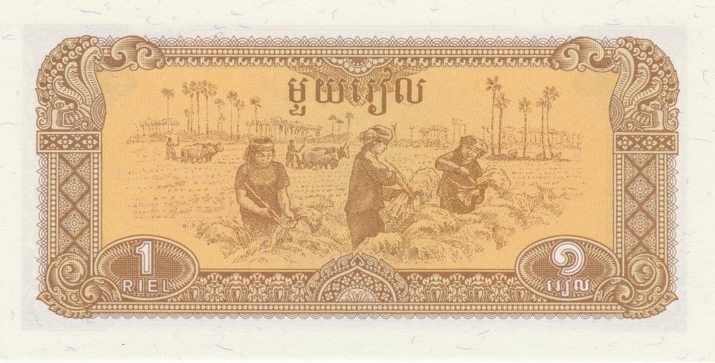 banknote not scanned